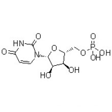 5&#39;-Uridylsäure